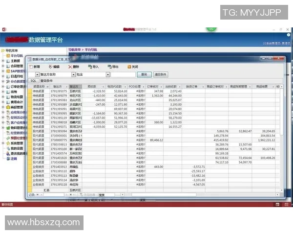 杭州乒乓球队实力分析与表现评估的综合数据研究报告 杭州乒乓球队实力分析与表现评估的综合数据研究报告