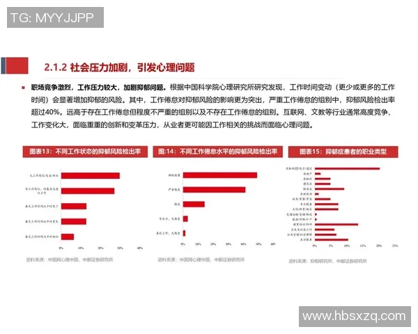 杭州羽毛球队在挑战赛中的实力展现与未来发展潜力分析